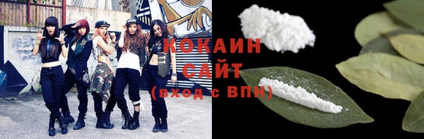 ГАЛЛЮЦИНОГЕННЫЕ ГРИБЫ Верея