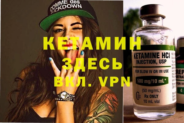 шишки Бронницы