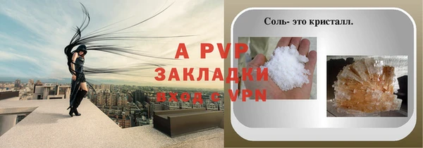 ГАЛЛЮЦИНОГЕННЫЕ ГРИБЫ Верея