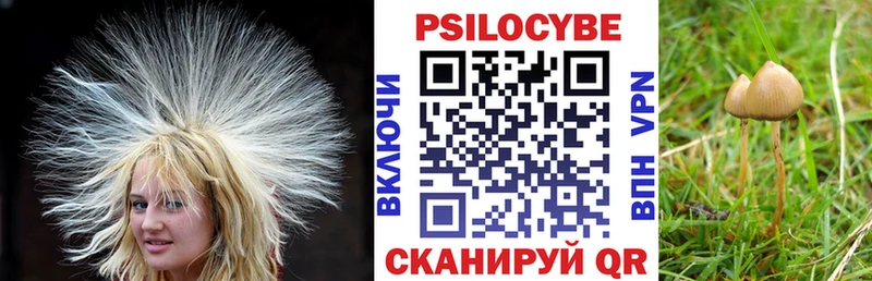 Галлюциногенные грибы прущие грибы  Мончегорск 